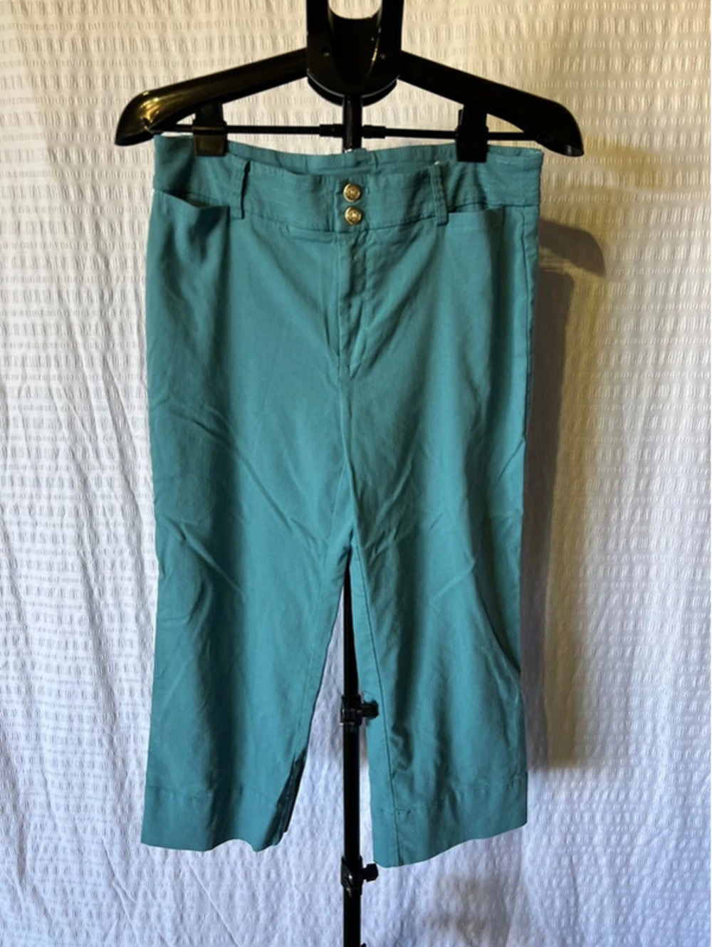 Chicos Ankle Length Size 8